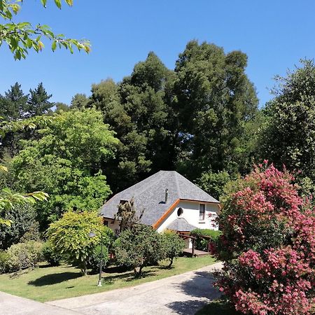 Hogsback Arminel Hotel Exterior foto